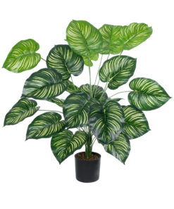 GloboStar® GloboStar® Artificial Garden CALATHEA PLANT 20922 Διακοσμητικό Φυτό Καλαθέα Φ70 x Υ80cm
