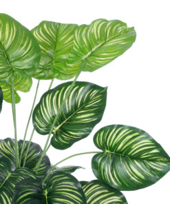 Alternative view of GloboStar® Artificial Garden CALATHEA PLANT 20922 Διακοσμητικό Φυτό Καλαθέα Φ70 x Υ80cm