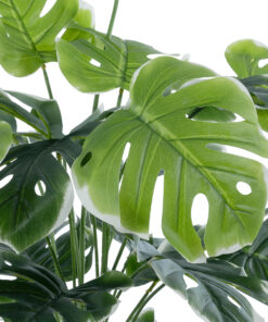 Alternative view of GloboStar® Artificial Garden MONSTERA PLANT 20924 - Διακοσμητικό Φυτό Μονστέρα Φ90 x Υ80cm
