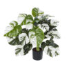 GloboStar® GloboStar® Artificial Garden ALBINO MONSTERA PLANT 20925 - Διακοσμητικό Φυτό Λευκή Μονστέρα Φ70 x Υ75cm