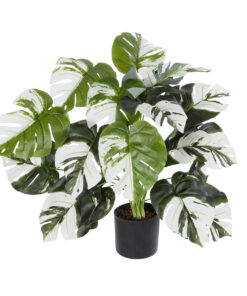 GloboStar® GloboStar® Artificial Garden ALBINO MONSTERA PLANT 20925 - Διακοσμητικό Φυτό Λευκή Μονστέρα Φ70 x Υ75cm