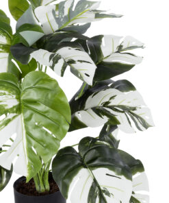 Alternative view of GloboStar® Artificial Garden ALBINO MONSTERA PLANT 20925 - Διακοσμητικό Φυτό Λευκή Μονστέρα Φ70 x Υ75cm