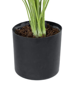 GloboStar® Artificial Garden ALBINO MONSTERA PLANT 20925 - Διακοσμητικό Φυτό Λευκή Μονστέρα Φ70 x Υ75cm 9 20925 4