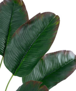 Alternative view of GloboStar® Artificial Garden BANANA PLANT 20928 - Διακοσμητικό Φυτό Μπανανιά Φ70 x Υ55cm