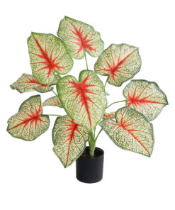 GloboStar® GloboStar® Artificial Garden CALADIUM PLANT 20932 Διακοσμητικό Φυτό Καλάντιουμ Φ58 x Υ55cm