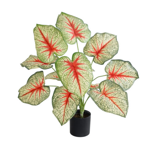 GloboStar® GloboStar® Artificial Garden CALADIUM PLANT 20932 Διακοσμητικό Φυτό Καλάντιουμ Φ58 x Υ55cm