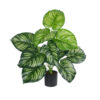GloboStar® GloboStar® Artificial Garden CALATHEA PLANT 20933 Διακοσμητικό Φυτό Καλαθέα Φ55 x Υ55cm