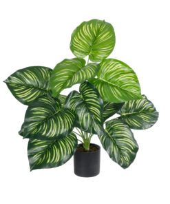 GloboStar® GloboStar® Artificial Garden CALATHEA PLANT 20933 Διακοσμητικό Φυτό Καλαθέα Φ55 x Υ55cm