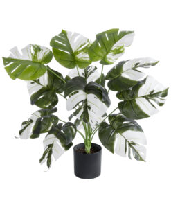 GloboStar® GloboStar® Artificial Garden ALBINO MONSTERA PLANT 20935 - Διακοσμητικό Φυτό Λευκή Μονστέρα Φ60 x Υ55cm
