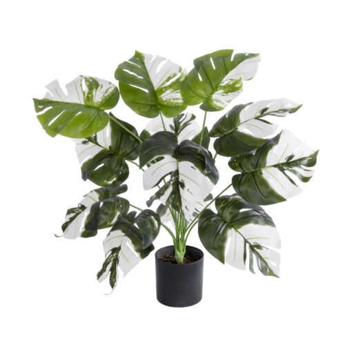 GloboStar® GloboStar® Artificial Garden ALBINO MONSTERA PLANT 20935 - Διακοσμητικό Φυτό Λευκή Μονστέρα Φ60 x Υ55cm
