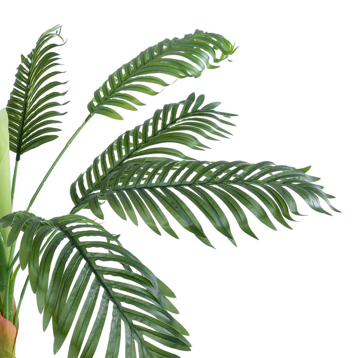 GloboStar® Artificial Garden ARECA PALM PLANT 20936 - Διακοσμητικό Φυτό Αρέκα Φ94 x Υ90cm 4 GloboStar® Artificial Garden ARECA PALM PLANT 20936 - Διακοσμητικό Φυτό Αρέκα Φ94 x Υ90cm - Image 2