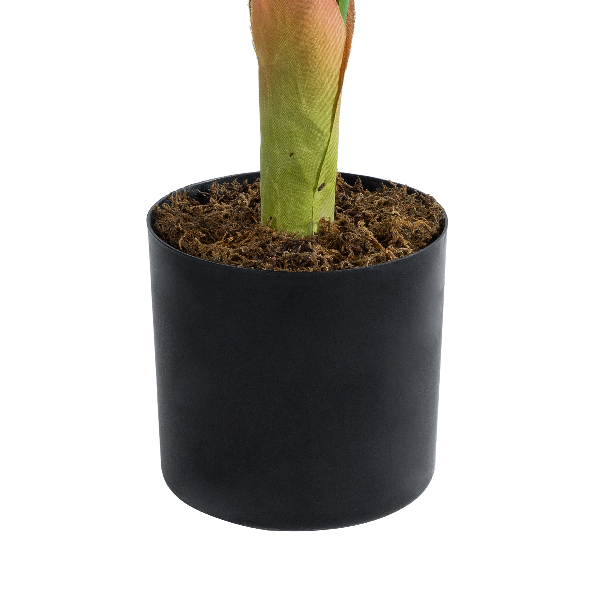 GloboStar® Artificial Garden ARECA PALM PLANT 20936 - Διακοσμητικό Φυτό Αρέκα Φ94 x Υ90cm 5 GloboStar® Artificial Garden ARECA PALM PLANT 20936 - Διακοσμητικό Φυτό Αρέκα Φ94 x Υ90cm - Image 3