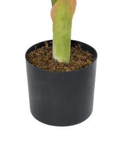 GloboStar® Artificial Garden MONSTERA PLANT 20937 - Διακοσμητικό Φυτό Μονστέρα Φ90 x Υ80cm 9 20937 4