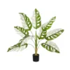 GloboStar® GloboStar® Artificial Garden ALBINO MONSTERA 20938 Τεχνητό Διακοσμητικό Φυτό Πράσινη & Λευκή Μονστέρα Μ90 x Π90 x Υ90cm