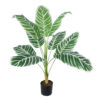 GloboStar® GloboStar® Artificial Garden WHITE ZEBRA PLANT 20943 Τεχνητό Διακοσμητικό Φυτό Λευκή Ζέβρα Φ90 x Υ90cm