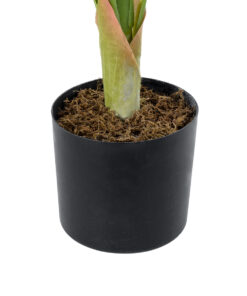 GloboStar® Artificial Garden WHITE ZEBRA PLANT 20943 Τεχνητό Διακοσμητικό Φυτό Λευκή Ζέβρα Φ90 x Υ90cm 9 20943 4