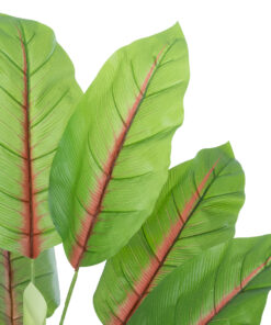 Alternative view of GloboStar® Artificial Garden BLOOD BANANA PLANT 20944 - Διακοσμητικό Φυτό Αιματόφυλλη Μπανανιά Φ70 x Υ90cm