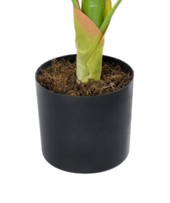 GloboStar® Artificial Garden BLOOD BANANA PLANT 20944 - Διακοσμητικό Φυτό Αιματόφυλλη Μπανανιά Φ70 x Υ90cm 9 20944 4