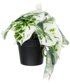 GloboStar® GloboStar® Artificial Garden ALBINO MONSTERA PLANT 20946 - Διακοσμητικό Φυτό Μονστέρα Φ23 x Υ16cm