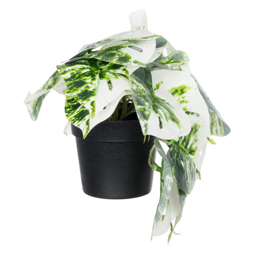 GloboStar® GloboStar® Artificial Garden ALBINO MONSTERA PLANT 20946 - Διακοσμητικό Φυτό Μονστέρα Φ23 x Υ16cm