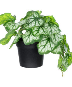 GloboStar® GloboStar® Artificial Garden WHITE BEGONIA PLANT 20947 Διακοσμητικό Φυτό Λευκή Βιγόνια Φ23 x Υ16cm