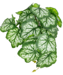GloboStar® Artificial Garden WHITE BEGONIA PLANT 20947 Διακοσμητικό Φυτό Λευκή Βιγόνια Φ23 x Υ16cm 9 20947 4