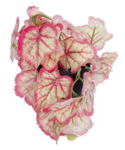 GloboStar® Artificial Garden RED BEGONIA PLANT 20948 Διακοσμητικό Φυτό Κόκκινη Βιγόνια Φ23 x Υ16cm 9 20948 4