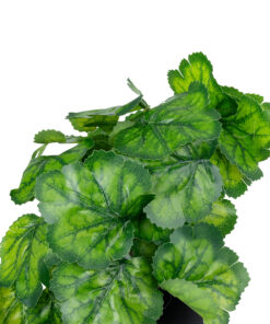 GloboStar® Artificial Garden GREEN BEGONIA PLANT 20949 Διακοσμητικό Φυτό Πράσινη Βιγόνια Φ23 x Υ16cm 8 20949 3