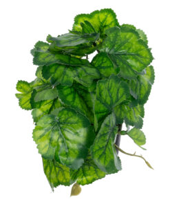 GloboStar® Artificial Garden GREEN BEGONIA PLANT 20949 Διακοσμητικό Φυτό Πράσινη Βιγόνια Φ23 x Υ16cm 9 20949 4