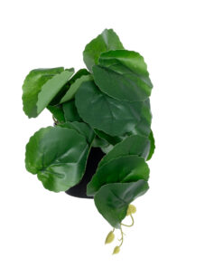 GloboStar® Artificial Garden STRAWBERRY PLANT 20951 Διακοσμητικό Φυτό Φράουλα Φ23 x Υ16cm 9 20951 4