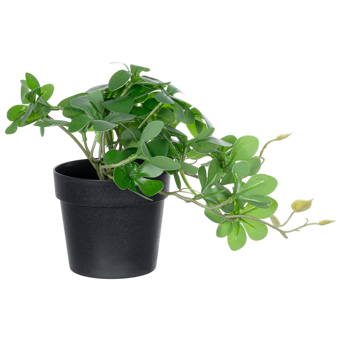 GloboStar® Artificial Garden SCHEFFLERA PLANT 20954 Διακοσμητικό Φυτό Σεφλέρα Φ18 x Υ17cm 3 GloboStar® GloboStar® Artificial Garden SCHEFFLERA PLANT 20954 Διακοσμητικό Φυτό Σεφλέρα Φ18 x Υ17cm