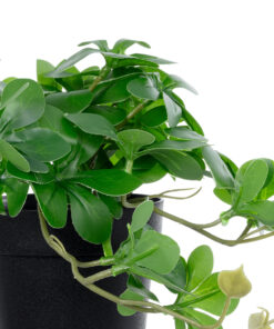 Alternative view of GloboStar® Artificial Garden SCHEFFLERA PLANT 20954 Διακοσμητικό Φυτό Σεφλέρα Φ18 x Υ17cm