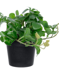 GloboStar® Artificial Garden SCHEFFLERA PLANT 20954 Διακοσμητικό Φυτό Σεφλέρα Φ18 x Υ17cm 9 20954 4