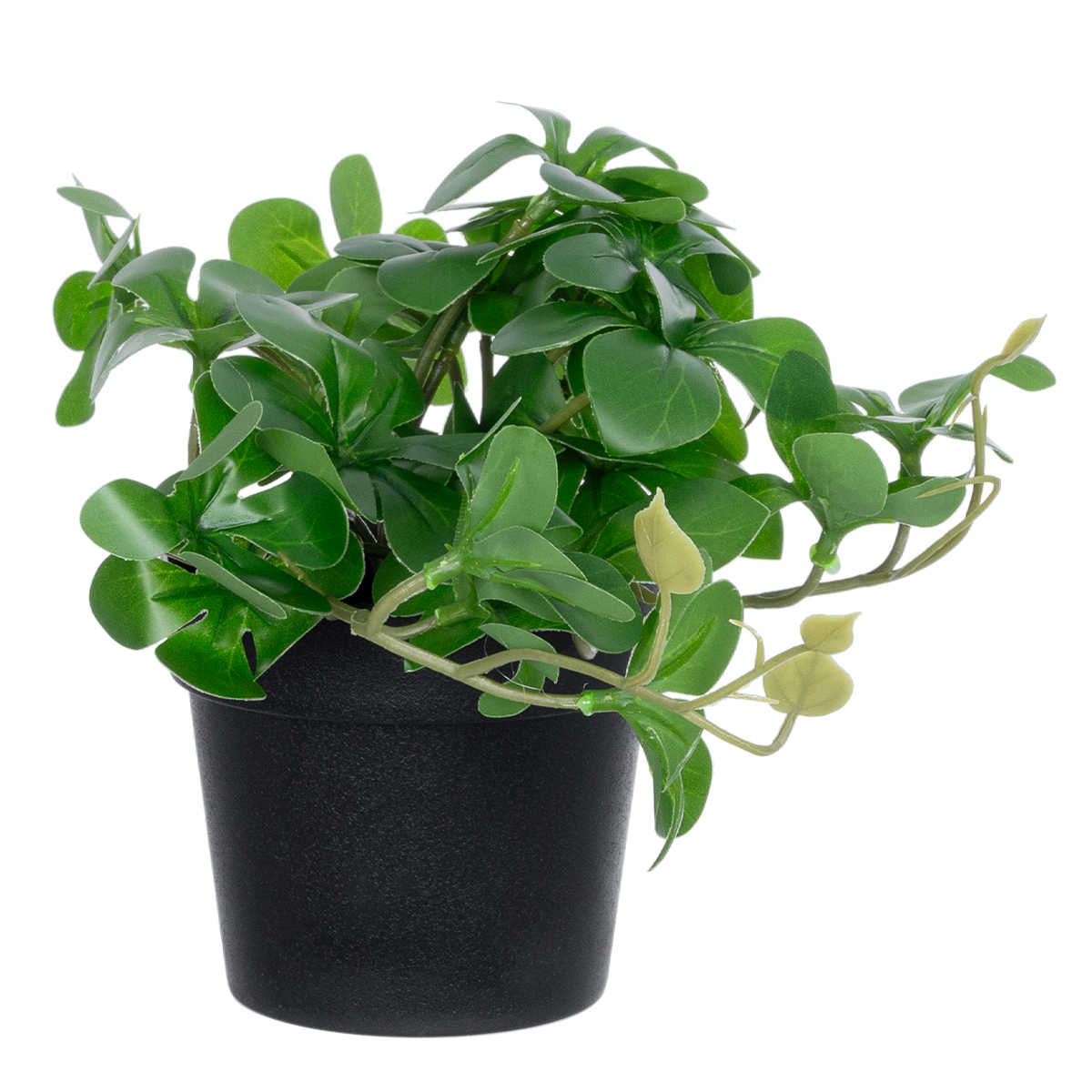 GloboStar® Artificial Garden SCHEFFLERA PLANT 20954 Διακοσμητικό Φυτό Σεφλέρα Φ18 x Υ17cm 5 GloboStar® Artificial Garden SCHEFFLERA PLANT 20954 Διακοσμητικό Φυτό Σεφλέρα Φ18 x Υ17cm - Image 3