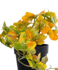 Alternative view of GloboStar® Artificial Garden SCHEFFLERA MIX PLANT 20955 Διακοσμητικό Φυτό Σεφλέρα Φ20 x Υ18cm