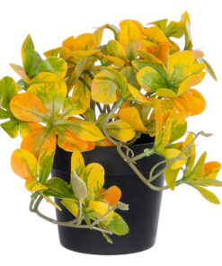 GloboStar® Artificial Garden SCHEFFLERA MIX PLANT 20955 Διακοσμητικό Φυτό Σεφλέρα Φ20 x Υ18cm 9 20955 4