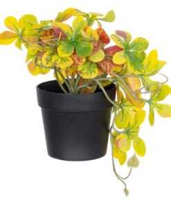 GloboStar® GloboStar® Artificial Garden SCHEFFLERA MIX PLANT 20956 Διακοσμητικό Φυτό Σεφλέρα Φ20 x Υ18cm