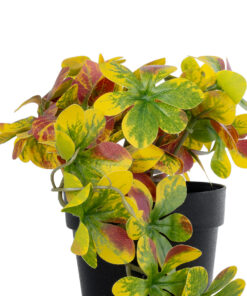 Alternative view of GloboStar® Artificial Garden SCHEFFLERA MIX PLANT 20956 Διακοσμητικό Φυτό Σεφλέρα Φ20 x Υ18cm