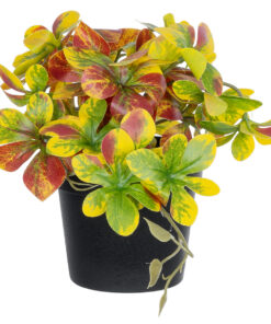 GloboStar® Artificial Garden SCHEFFLERA MIX PLANT 20956 Διακοσμητικό Φυτό Σεφλέρα Φ20 x Υ18cm 9 20956 4