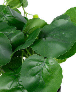 Alternative view of GloboStar® Artificial Garden BELL PLANT 20957 Διακοσμητικό Φυτό Σεφλέρα Φ47 x Υ22cm