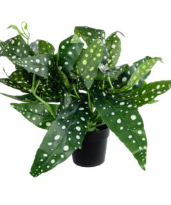 GloboStar® GloboStar® Artificial Garden BEGONIA POLKA DOT PLANT 20959 Διακοσμητικό Φυτό Βιγόνια Φ50 x Υ22cm