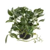 GloboStar® GloboStar® Artificial Garden ZEBRINA PLANT 20960 Διακοσμητικό Φυτό Ζεμπρίνα Φ45 x Υ22cm