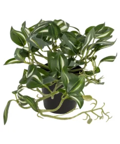 GloboStar® GloboStar® Artificial Garden ZEBRINA PLANT 20960 Διακοσμητικό Φυτό Ζεμπρίνα Φ45 x Υ22cm