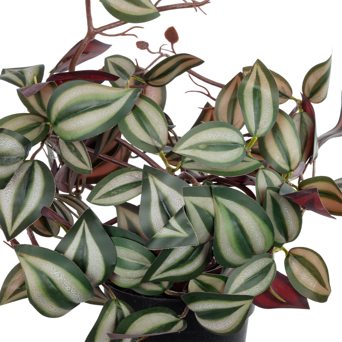 GloboStar® Artificial Garden ZEBRINA PLANT 20961 Διακοσμητικό Φυτό Ζεμπρίνα Φ45 x Υ22cm 4 GloboStar® Artificial Garden ZEBRINA PLANT 20961 Διακοσμητικό Φυτό Ζεμπρίνα Φ45 x Υ22cm - Image 2