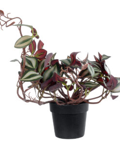 GloboStar® Artificial Garden ZEBRINA PLANT 20961 Διακοσμητικό Φυτό Ζεμπρίνα Φ45 x Υ22cm 9 20961 4