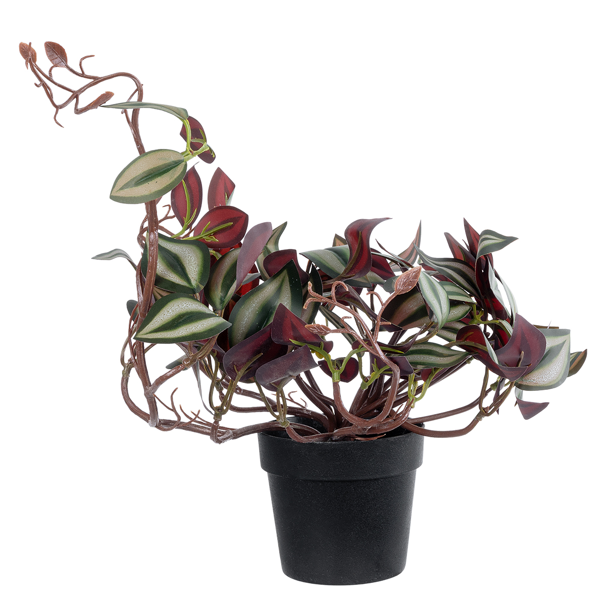 GloboStar® Artificial Garden ZEBRINA PLANT 20961 Διακοσμητικό Φυτό Ζεμπρίνα Φ45 x Υ22cm 5 GloboStar® Artificial Garden ZEBRINA PLANT 20961 Διακοσμητικό Φυτό Ζεμπρίνα Φ45 x Υ22cm - Image 3