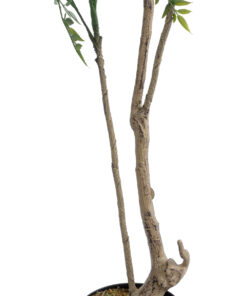 GloboStar® Artificial Garden GREEN NANDINA PLANT 20965 Διακοσμητικό Φυτό Πράσινη Ναντίνα Φ66 x Υ150cm 10 20965 4