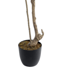 GloboStar® Artificial Garden GREEN NANDINA PLANT 20965 Διακοσμητικό Φυτό Πράσινη Ναντίνα Φ66 x Υ150cm 11 20965 5