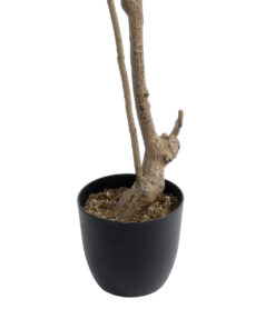 GloboStar® Artificial Garden RED NANDINA PLANT 20966 Διακοσμητικό Φυτό Κόκκινη Ναντίνα Φ66 x Υ150cm 11 20966 5