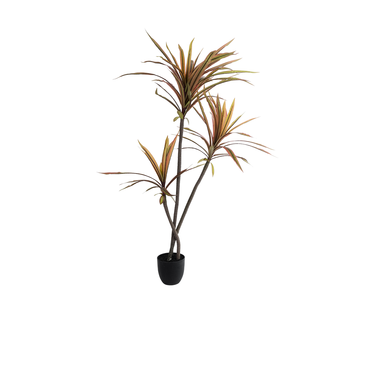 GloboStar® Artificial Garden DRAGON BLOOD TREE 20969 - Τεχνητό Διακοσμητικό Φυτό Δράκαινα Φ100 x Υ140cm 3 GloboStar® GloboStar® Artificial Garden DRAGON BLOOD TREE 20969 - Τεχνητό Διακοσμητικό Φυτό Δράκαινα Φ100 x Υ140cm